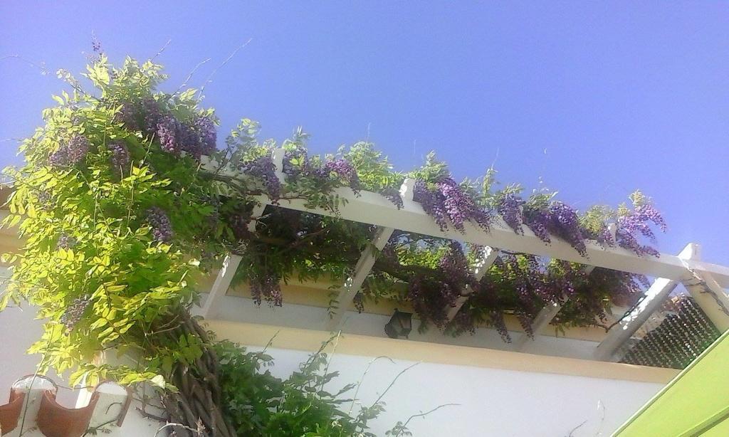 A Casa Do Lagar Apartment อาเซย์เตา ห้อง รูปภาพ