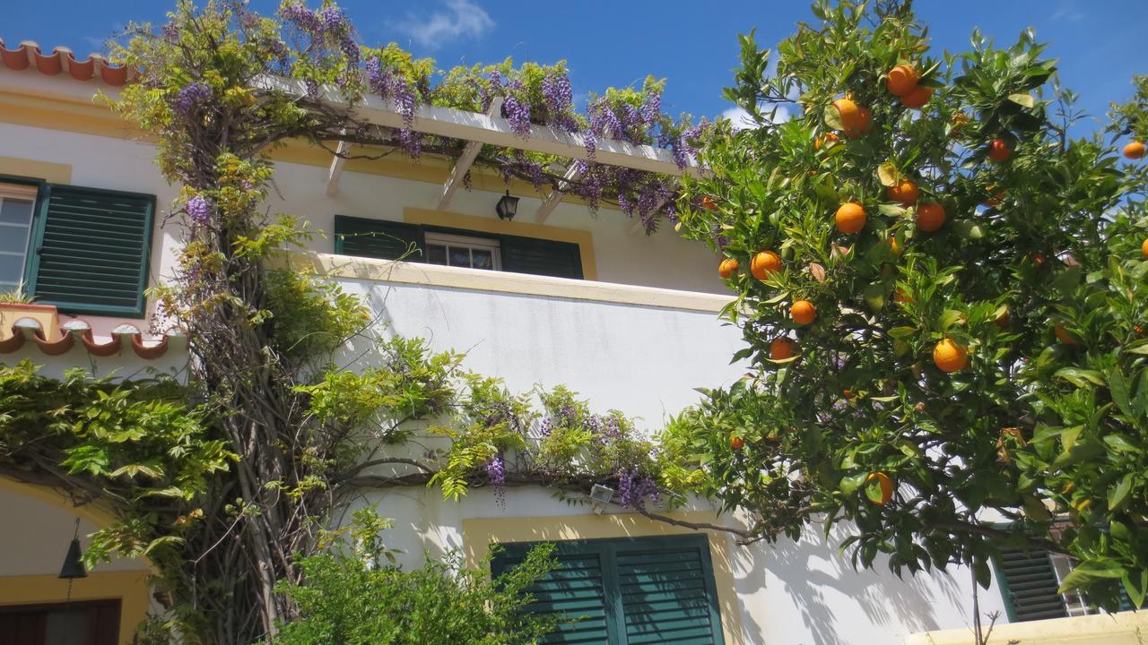 A Casa Do Lagar Apartment อาเซย์เตา ภายนอก รูปภาพ