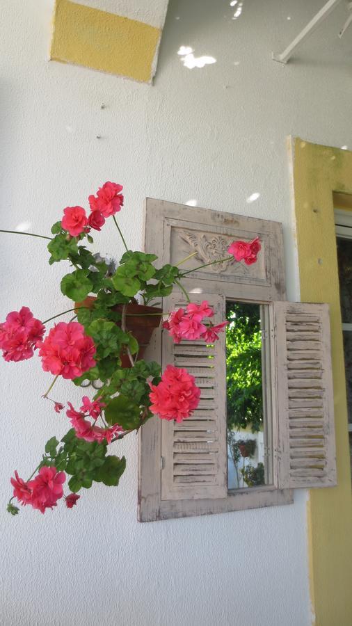 A Casa Do Lagar Apartment อาเซย์เตา ภายนอก รูปภาพ